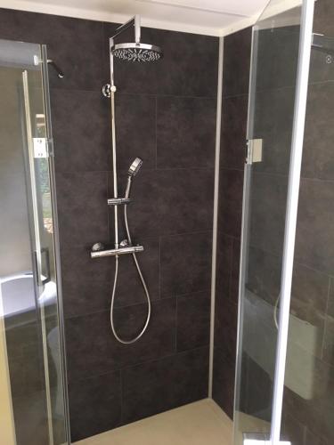 a shower with a shower head in a bathroom at Chalet met Veranda en whirlpool gelegen in NP Drents Friese Wold, camping met zwembad 70 in Wateren
