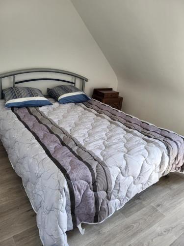 Легло или легла в стая в Justicou