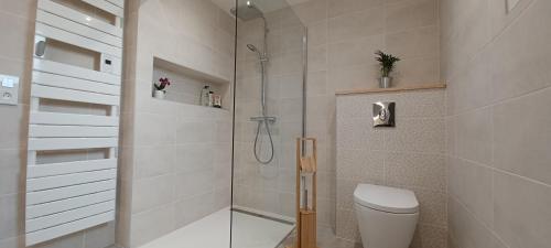 une salle de bain avec douche et toilettes dans l'établissement Le Christolive Saint Victor la Coste, à Saint-Victor-la-Coste