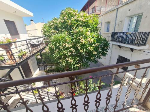 an apartment balcony with a tree in front of a building at SOFIA BOUTIQUE HOTEL in Kérynia