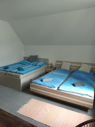 dos camas sentadas una al lado de la otra en una habitación en Vila Pavlínka , apartmány Losiny en Velké Losiny