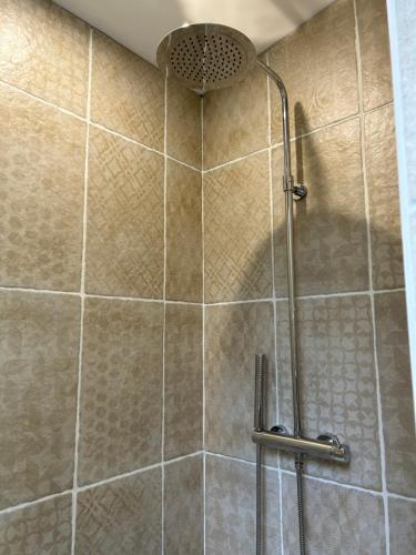 a shower with a shower head in a bathroom at La Maison de l'Etang in Manerbe