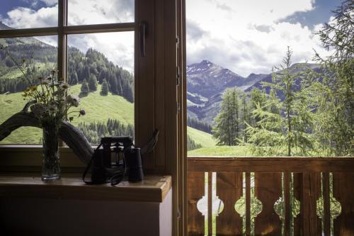 a vase of flowers on a window sill with a view at Alpengasthof Karalm in Rauris