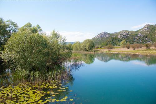 a body of water with trees and mountains in the background at Pristan Apartments in Dodoši