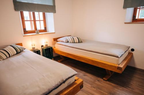 2 camas individuais num quarto com 2 janelas em Štekner house Apartma em Ljubno