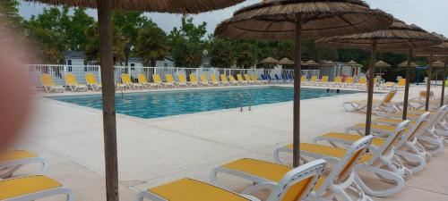 une piscine avec chaises et parasols dans l'établissement Mobile home, à Meschers-sur-Gironde