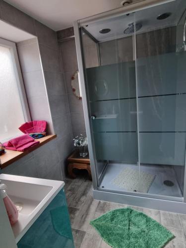 La salle de bains est pourvue d'une douche en verre et d'un lavabo. dans l'établissement Breizh & Breakfast, à Rosporden