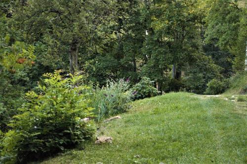 a garden with green grass and flowers and trees at Il Sanco in Selva di Progno