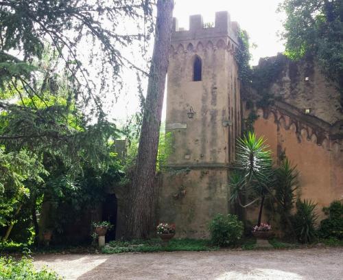 an old building with a tree in front of it at Il mondo di Giada in Vicopisano