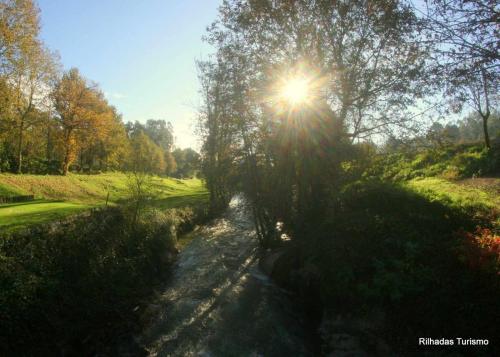 a sun shining through a tree in a field at Rilhadas Casas de Campo in Fafe