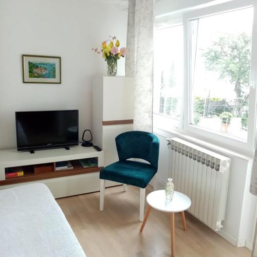 Apartment Romana