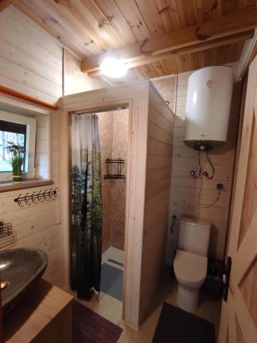 a small bathroom with a toilet and a sink at Dom Nad Stawem Krawno in Piecki