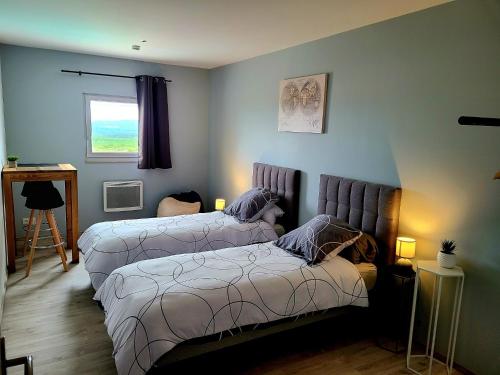 sypialnia z dwoma łóżkami i oknem w obiekcie Chambres d'hôte ROUQUART w mieście Méjannes-le-Clap