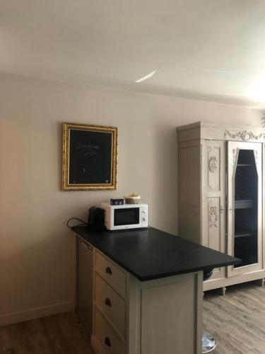 une cuisine avec un comptoir avec un micro-ondes dessus dans l'établissement Au cœur historique de La Rochelle, à La Rochelle