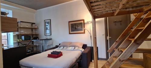 - une chambre avec des lits superposés et une échelle dans l'établissement hyper centre Annecy et bord du lac, à Annecy