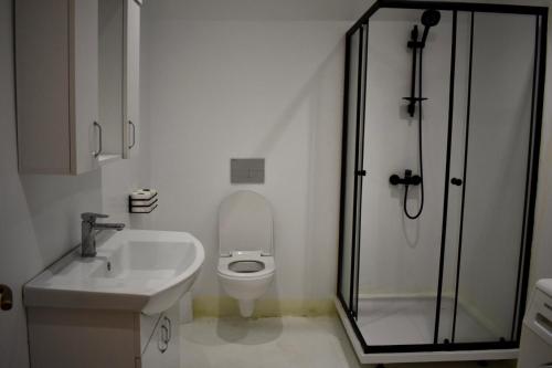 W łazience znajduje się toaleta, umywalka i prysznic. w obiekcie Elizbar Talakvadze Winery w mieście Kardanakhi