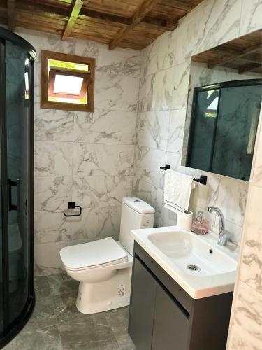 La salle de bains est pourvue de toilettes, d'un lavabo et d'une douche. dans l'établissement Akçakoca ağaç ev, à Duzce