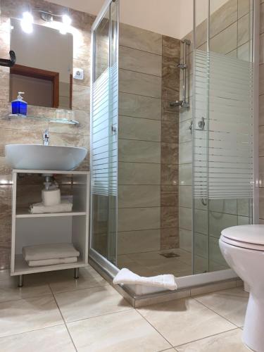 a bathroom with a shower and a sink and a toilet at Anna Panzió in Dunavarsány