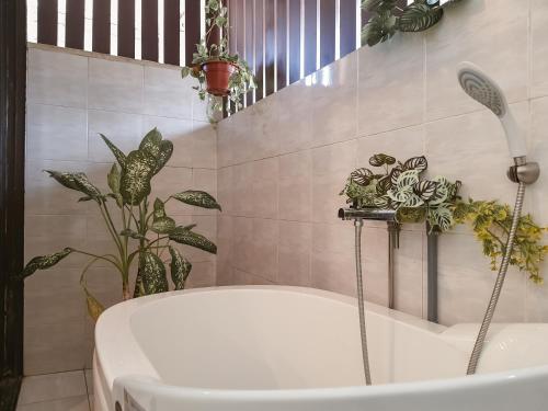 a bath tub in a bathroom with plants on the wall at 5BR IndoorPrivate Pool Villa BathTub BBQ Steamboat in Melaka