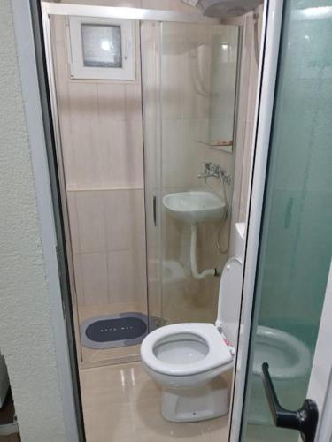 a small bathroom with a toilet and a sink at Studio apartman Mušura in Budva