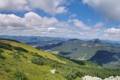 a green hillside with mountains in the distance at Drevenica Harmony in Ružomberok