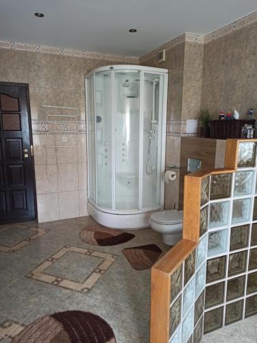 y baño con ducha y aseo. en Apartament Suwalski Zakątek, en Suwałki