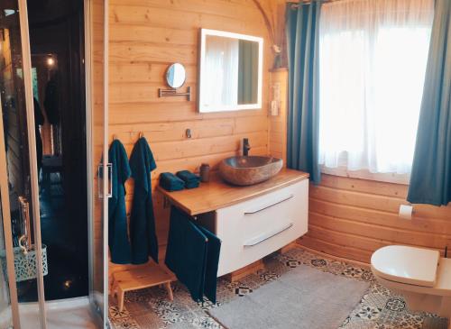 uma casa de banho com um lavatório num quarto de madeira em Ferienhaus Birkholz Harz em Altenrode