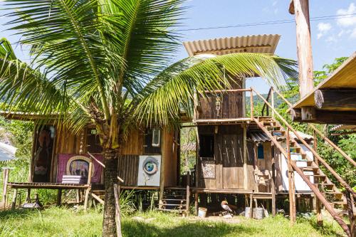 a house with a palm tree in front of it at Chales sprinfeld in Paraty