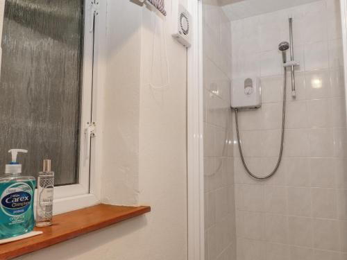 a bathroom with a shower with a window and a sink at The Pool House in Crediton