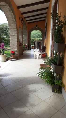 an outdoor patio with an archway with a couch and clothes at La casetta di samba in Anguillara Sabazia