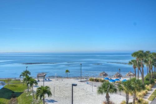 een uitzicht op een strand met palmbomen en de oceaan bij Beachy Daze-Waterfront - WIFI - Heated Pool in Tampa
