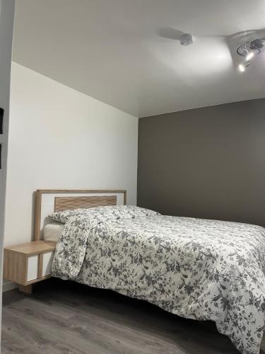 1 dormitorio con cama con edredón en Superbe appartement au bord du canal de St Quentin, en Saint-Quentin
