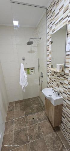 a bathroom with a sink and a shower and a mirror at Ekonomic Apartmani in Golubovci