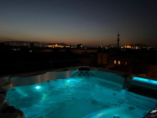 Πισίνα στο ή κοντά στο Spacious apartment with shared jacuzzi private terrace MK2