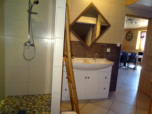 La salle de bains est pourvue d'un lavabo et d'une douche. dans l'établissement Gîte du cheval blanc, à Arçon