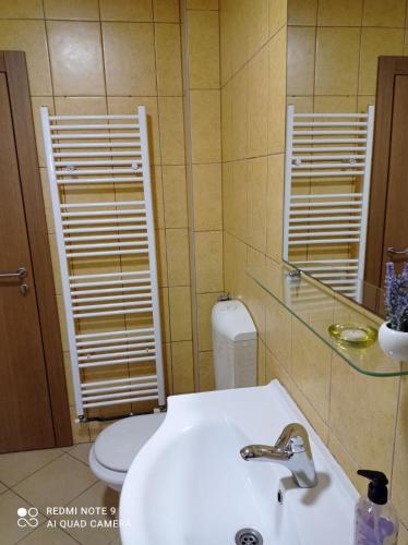 a bathroom with a sink and a toilet and a mirror at Apartman Asja in Visoko
