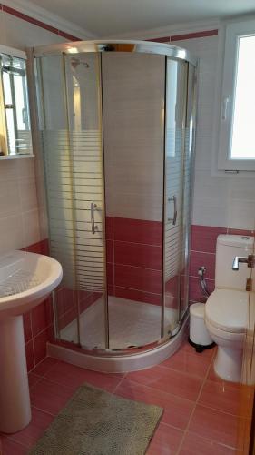 een badkamer met een douche, een toilet en een wastafel bij Captains View Apartments in Plati