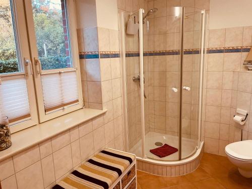 a bathroom with a shower and a toilet at Dat-Klinkerhus in Glowe