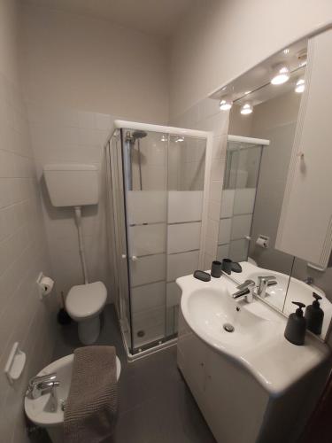 uma casa de banho com um lavatório, um chuveiro e um WC. em I Limoni Bilocale in residence con piscina em Peschiera del Garda