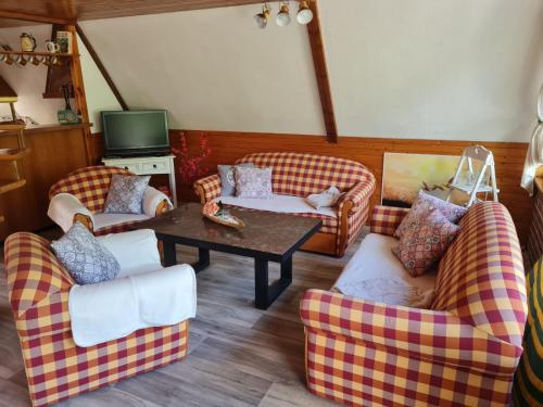 a living room with couches and a table and a tv at Ferienhaus Elbeflair in Belgern