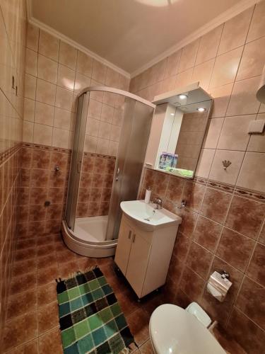 a bathroom with a shower and a sink and a toilet at Guest House Villa Lord in Novi Sad