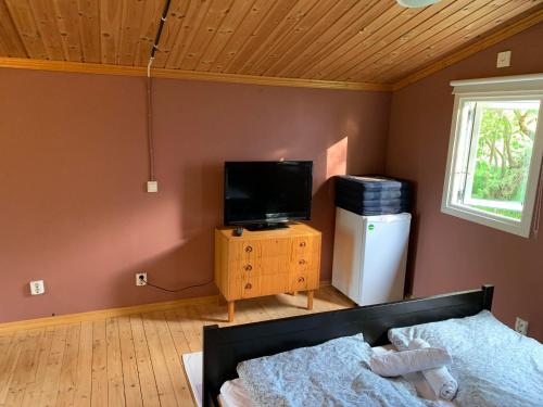 1 dormitorio con 1 cama y TV en una mesa en The Pink Cabin en Tyfta