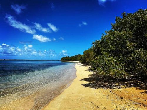 a beach with trees and the ocean on a sunny day at Peaceful Luxury Villa - TheShine&GlowPlace in Fajardo