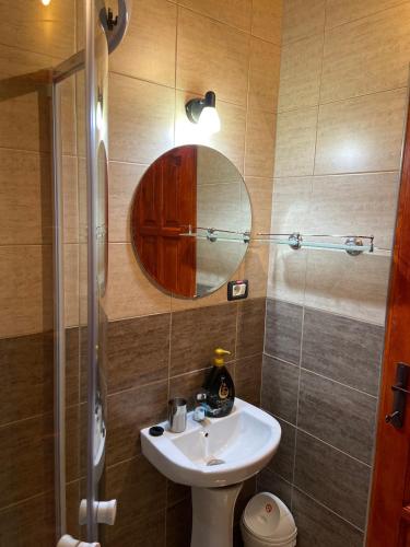 a bathroom with a sink and a mirror at Pensiunea Lavinia Daniel in Borşa