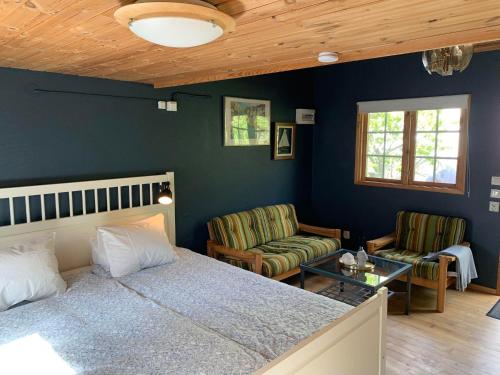 1 Schlafzimmer mit einem Bett, 2 Stühlen und einem Tisch in der Unterkunft The Blue Cabin in Tyfta