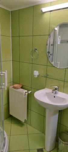 un bagno verde con lavandino e specchio di Casa Azugeana ad Azuga