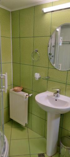 a green bathroom with a sink and a mirror at Casa Azugeana in Azuga