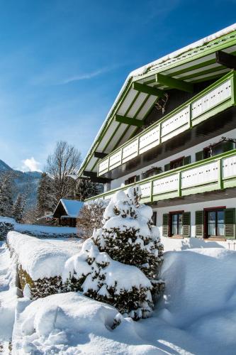 a snow covered tree in front of a building at Landhaus am Stein in Bad Wiessee