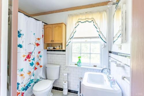 a bathroom with a toilet and a sink and a window at Home Sweet Home Suite #1, near Liberty University, and Lynchburg Hospital, Deluxe Queen Size Bedroom in Lynchburg