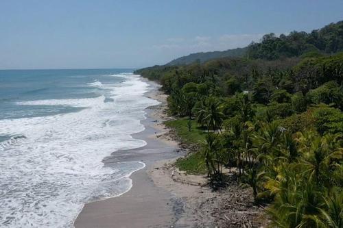 an aerial view of a beach with palm trees at Lujo y Naturaleza Junto al Río a 10 min de Playas Montezuma y Santa Teresa in Cóbano